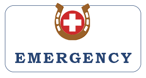 veterinary-emergency